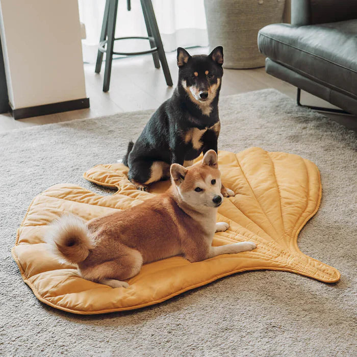Couverture pour animaux de compagnie Lighteme inspirée de la nature – Élégante et confortable