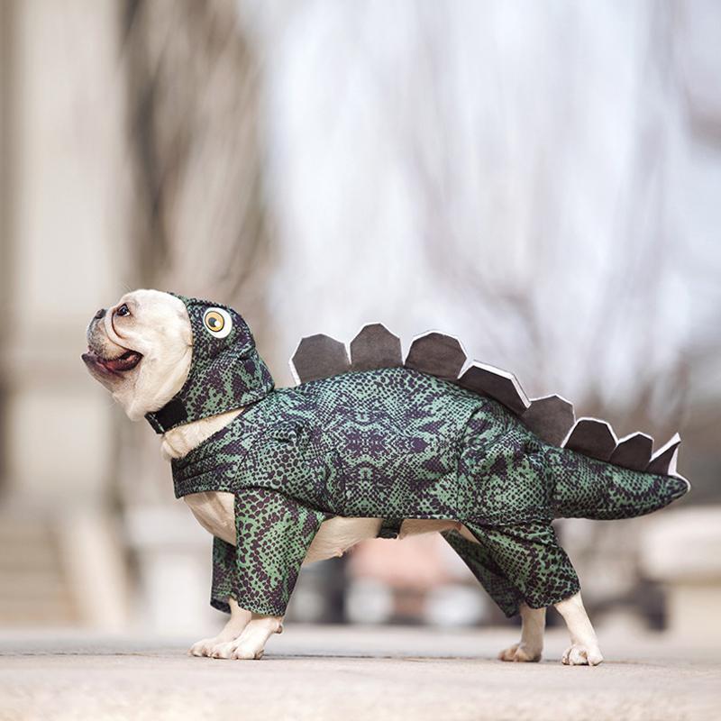 Vêtements de cosplay amusants et mignons pour animaux de compagnie Lighteme, dinosaure (5 tailles)