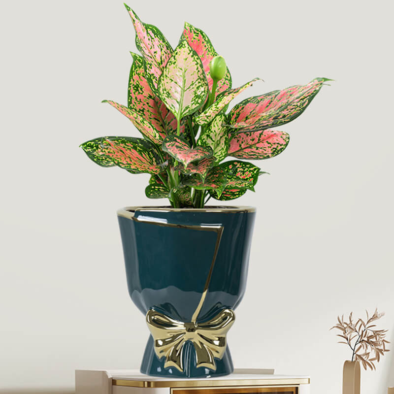 Lighteme Keramikvase mit Goldrand und Schleife