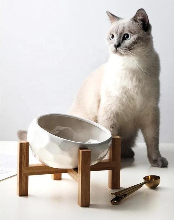 Gamelle en céramique pour animaux de compagnie de style nordique Lighteme
