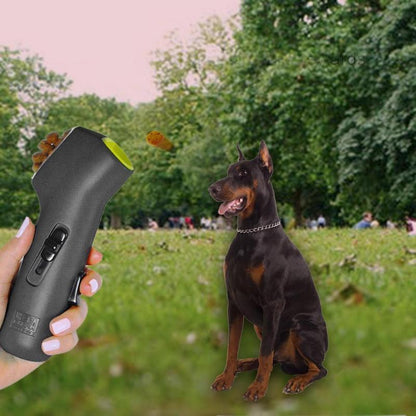 Lance-friandises Lighteme pour chiens - Outil de dressage extérieur pour animaux de compagnie
