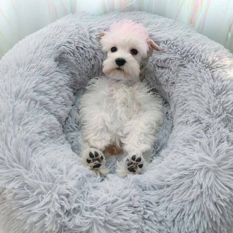 Lighteme Komfortables, beruhigendes Hunde-/Katzenbett (8 Farben &amp; 8 Größen)
