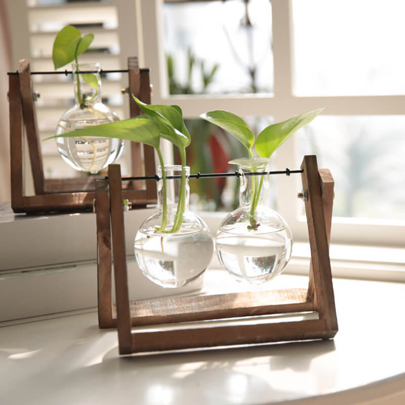 Vase en verre pour plantes hydroponiques Lighteme