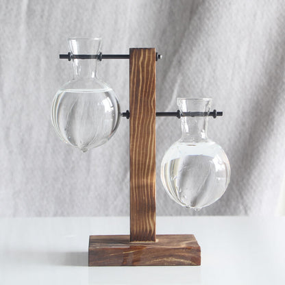Vase en verre pour plantes hydroponiques Lighteme