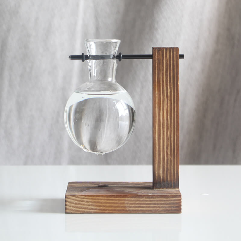 Vase en verre pour plantes hydroponiques Lighteme