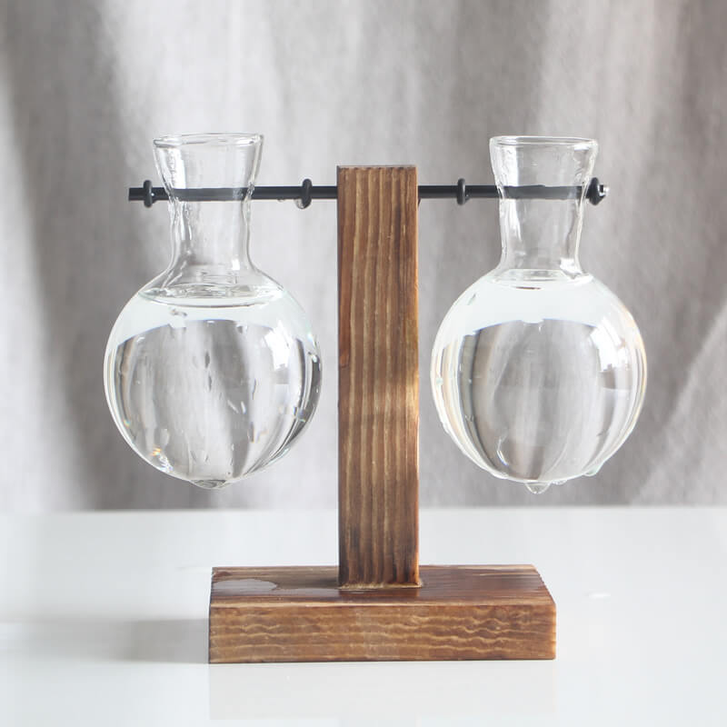 Vase en verre pour plantes hydroponiques Lighteme