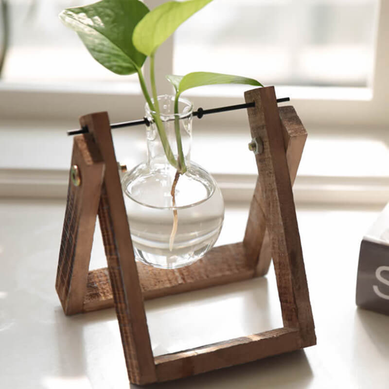 Vase en verre pour plantes hydroponiques Lighteme