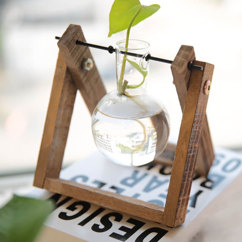 Vase en verre pour plantes hydroponiques Lighteme