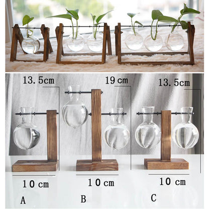 Vase en verre pour plantes hydroponiques Lighteme
