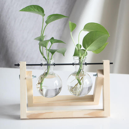 Vase en verre pour plantes hydroponiques Lighteme