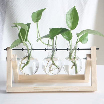 Vase en verre pour plantes hydroponiques Lighteme