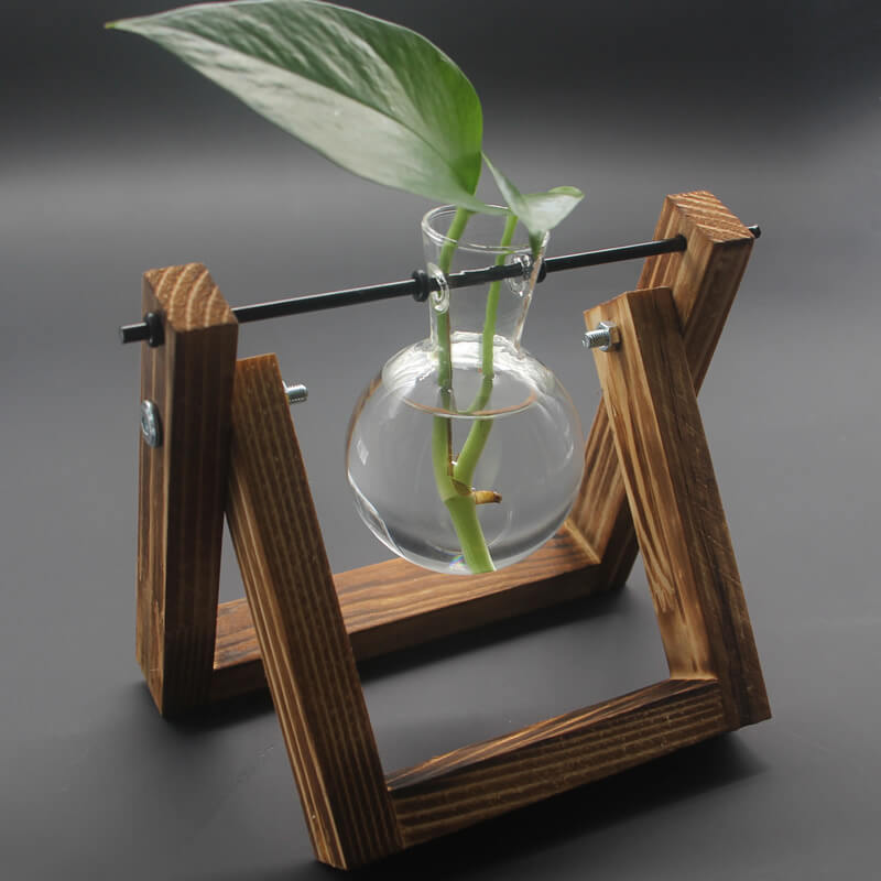 Vase en verre pour plantes hydroponiques Lighteme