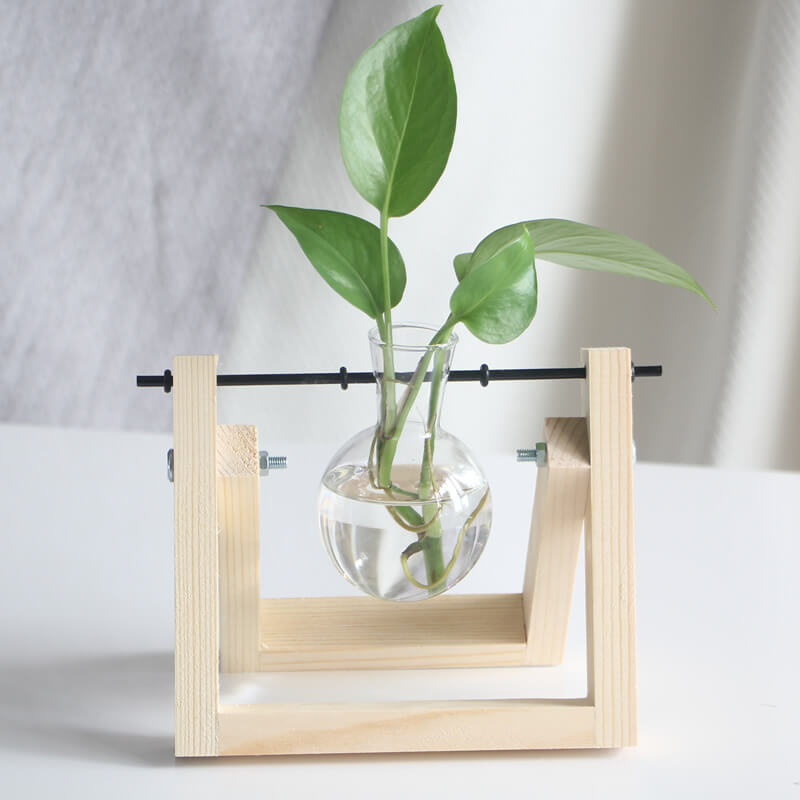 Vase en verre pour plantes hydroponiques Lighteme