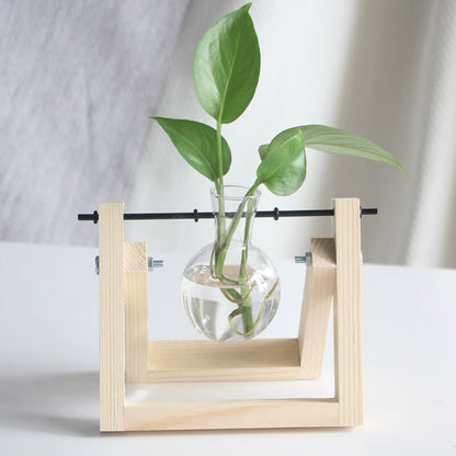 Vase en verre pour plantes hydroponiques Lighteme