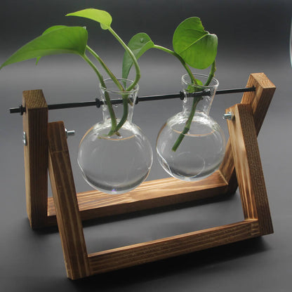 Vase en verre pour plantes hydroponiques Lighteme