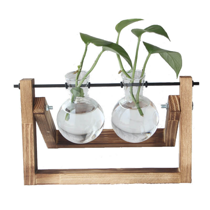Vase en verre pour plantes hydroponiques Lighteme