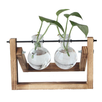Vase en verre pour plantes hydroponiques Lighteme