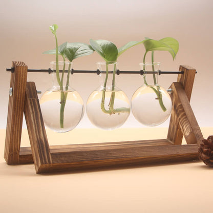 Vase en verre pour plantes hydroponiques Lighteme