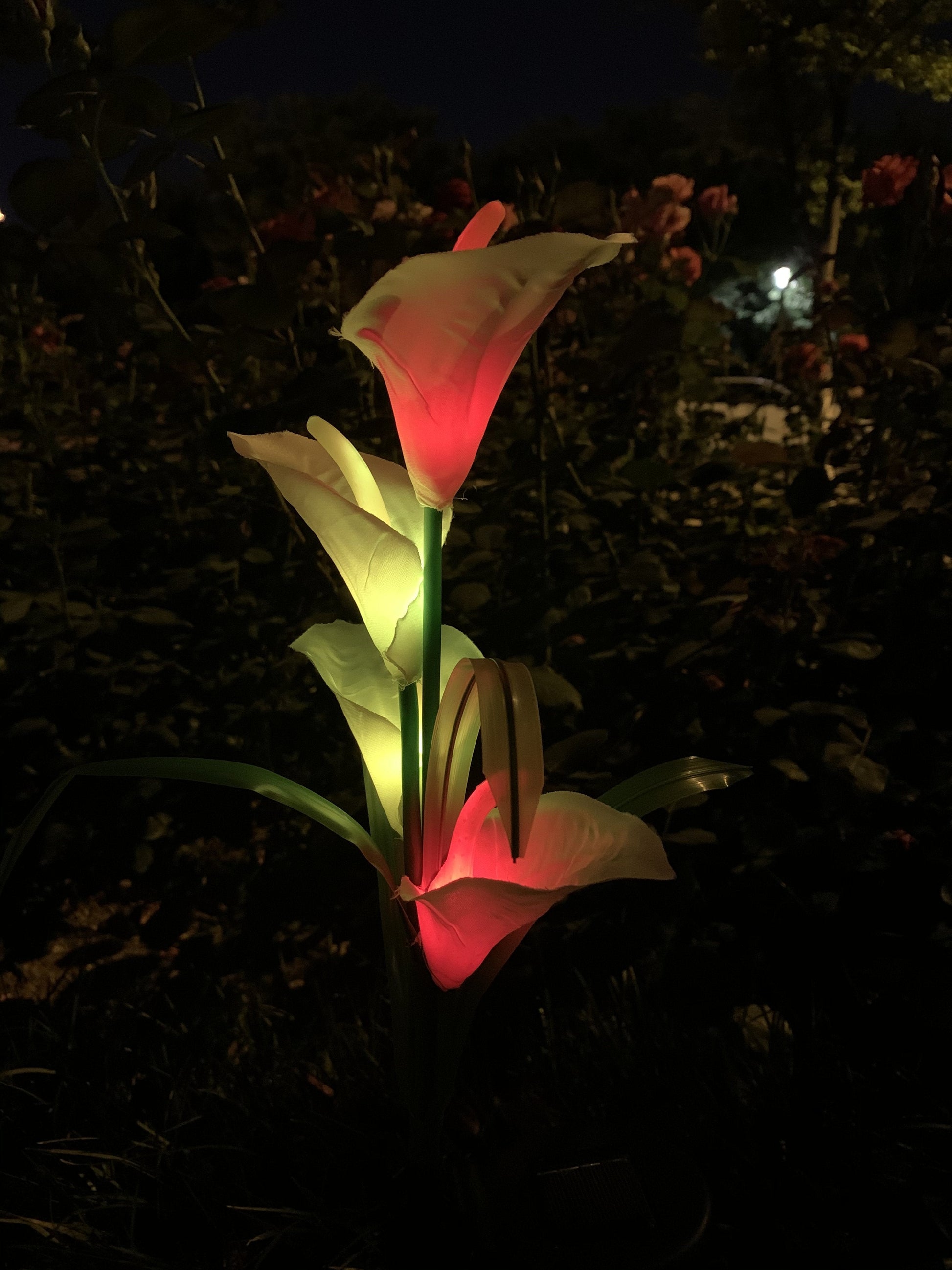 Ihrtrade Artificial Calla Lily Solar Garden Stake Lights (1 Pack of 4 Lilies)
