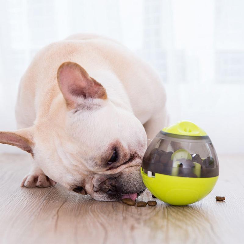 Gamelle interactive Lighteme pour chien, récipient alimentaire anti-fuite amusant (2 couleurs)