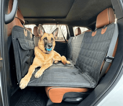 Lighteme Pet Cruiser protège votre voiture des poils et de la saleté