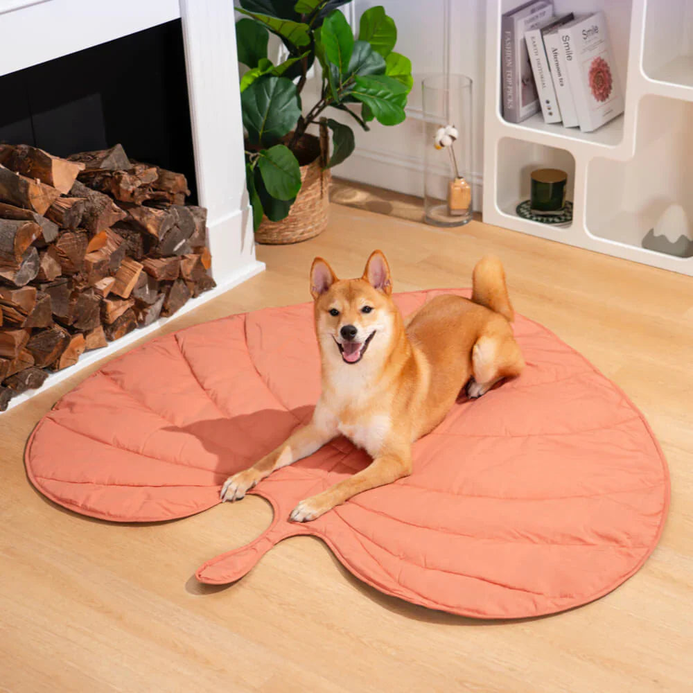 Couverture pour animaux de compagnie Lighteme inspirée de la nature – Élégante et confortable
