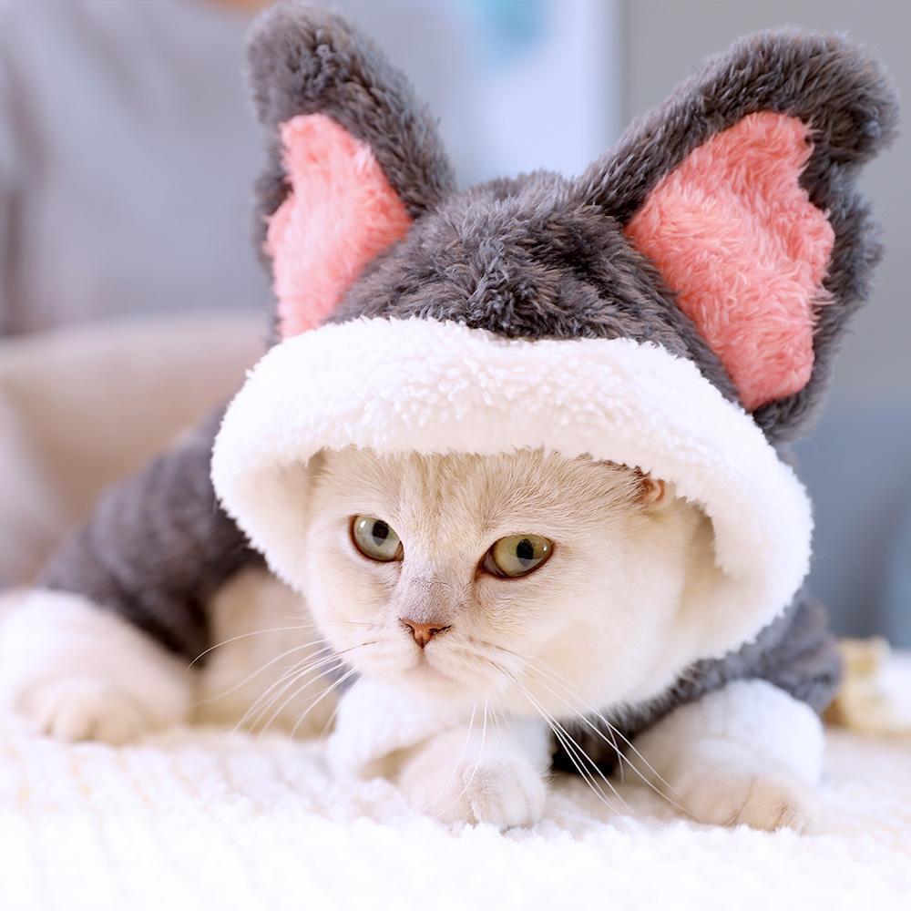 Lighteme Lovely Koala Cosplay Costume For Cat (4 colors)