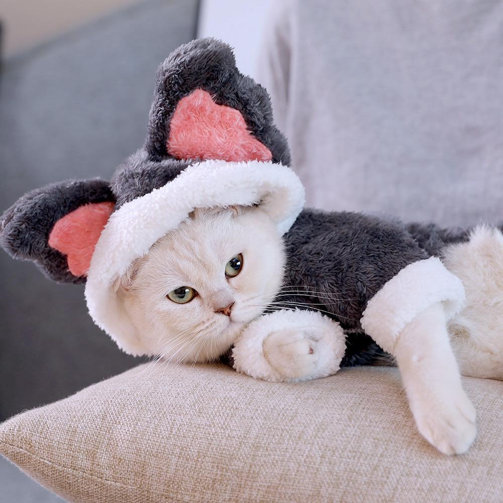 Lighteme Lovely Koala Cosplay Costume For Cat (4 colors)