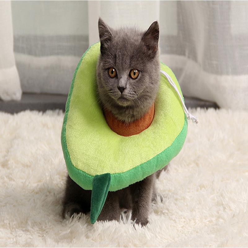 Lighteme Lovely Medical Katzen-Anti-Leckhalsband (2 Ausführungen)