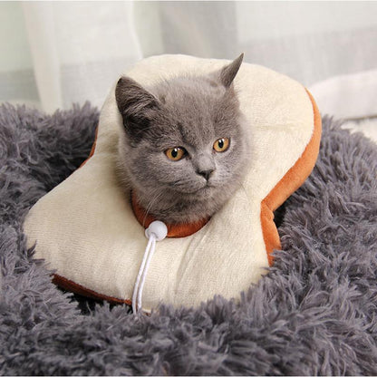 Lighteme Lovely Medical Katzen-Anti-Leckhalsband (2 Ausführungen)