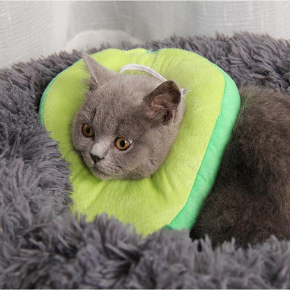 Lighteme Lovely Medical Katzen-Anti-Leckhalsband (2 Ausführungen)