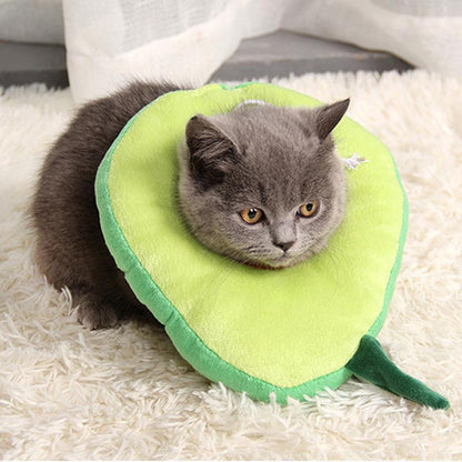 Lighteme Lovely Medical Katzen-Anti-Leckhalsband (2 Ausführungen)