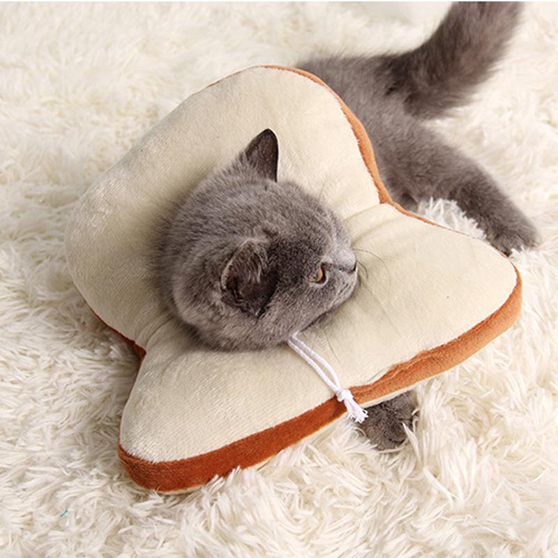 Lighteme Lovely Medical Katzen-Anti-Leckhalsband (2 Ausführungen)