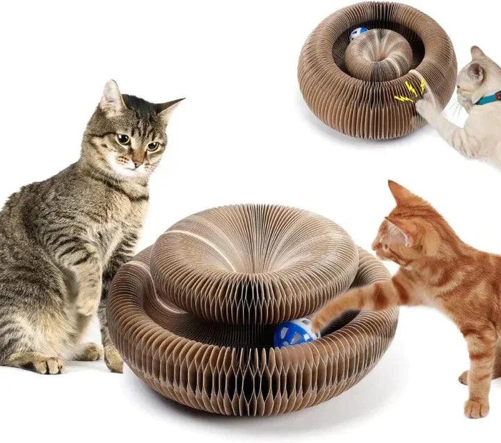 Lighteme Kratzspielzeug für Katzen
