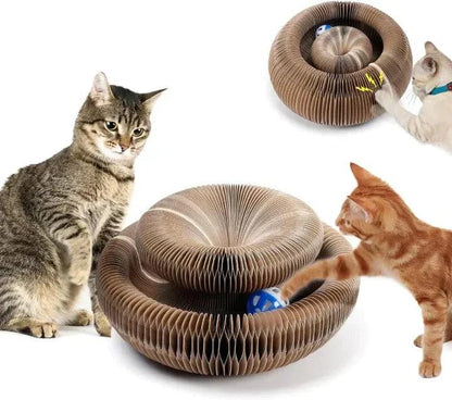 Lighteme Kratzspielzeug für Katzen