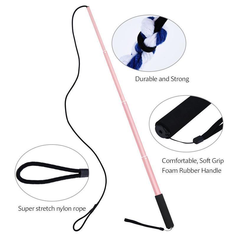 Bâton de dressage télescopique Lighteme pour chien (3 couleurs et 2 tailles)