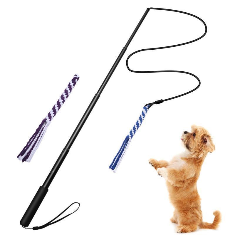 Bâton de dressage télescopique Lighteme pour chien (3 couleurs et 2 tailles)