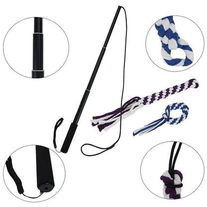 Bâton de dressage télescopique Lighteme pour chien (3 couleurs et 2 tailles)