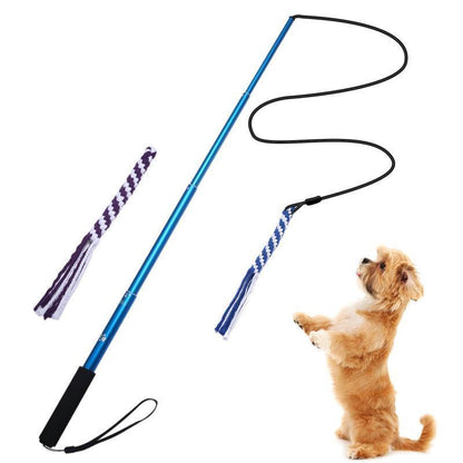 Bâton de dressage télescopique Lighteme pour chien (3 couleurs et 2 tailles)