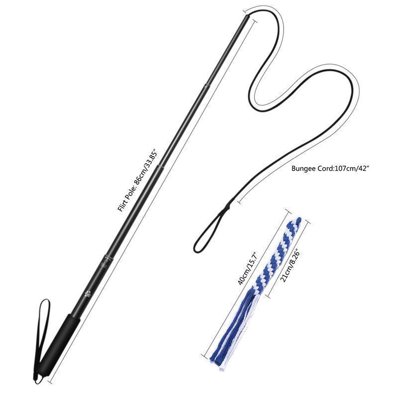 Bâton de dressage télescopique Lighteme pour chien (3 couleurs et 2 tailles)