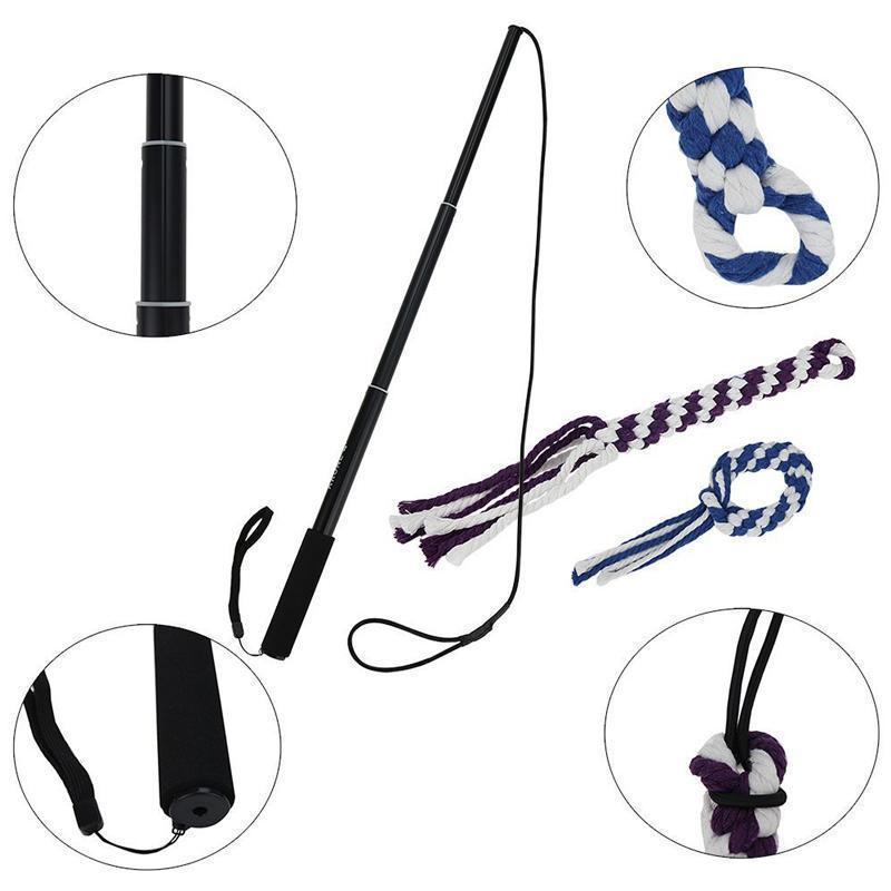 Bâton de dressage télescopique Lighteme pour chien (3 couleurs et 2 tailles)