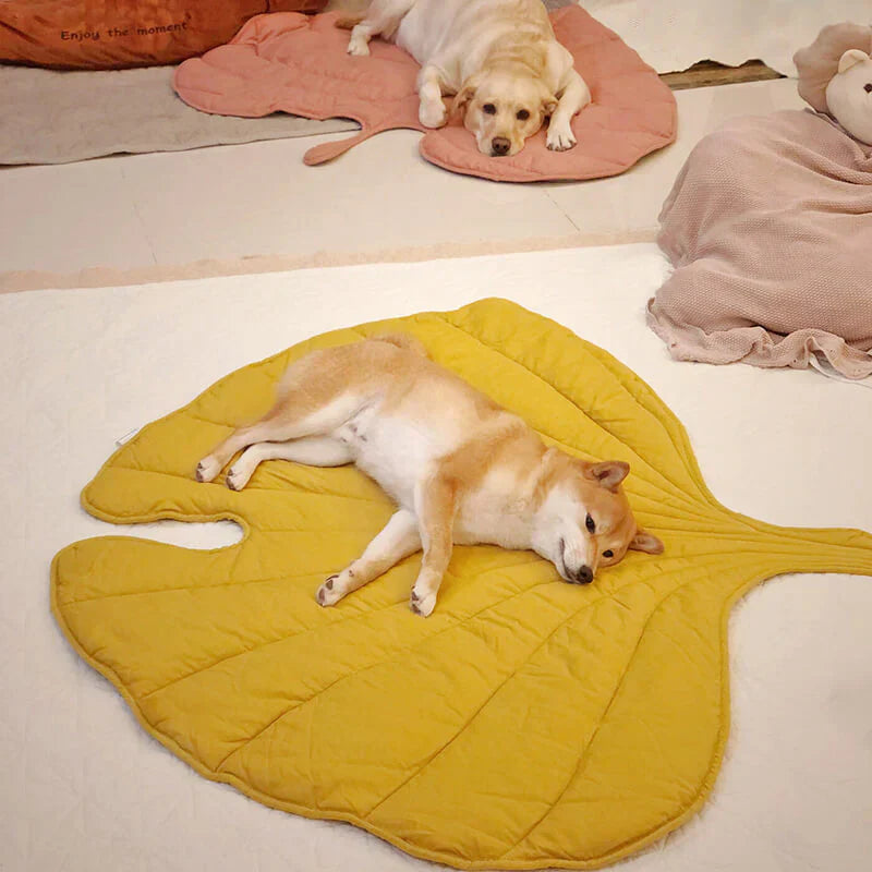 Couverture pour animaux de compagnie Lighteme inspirée de la nature – Élégante et confortable