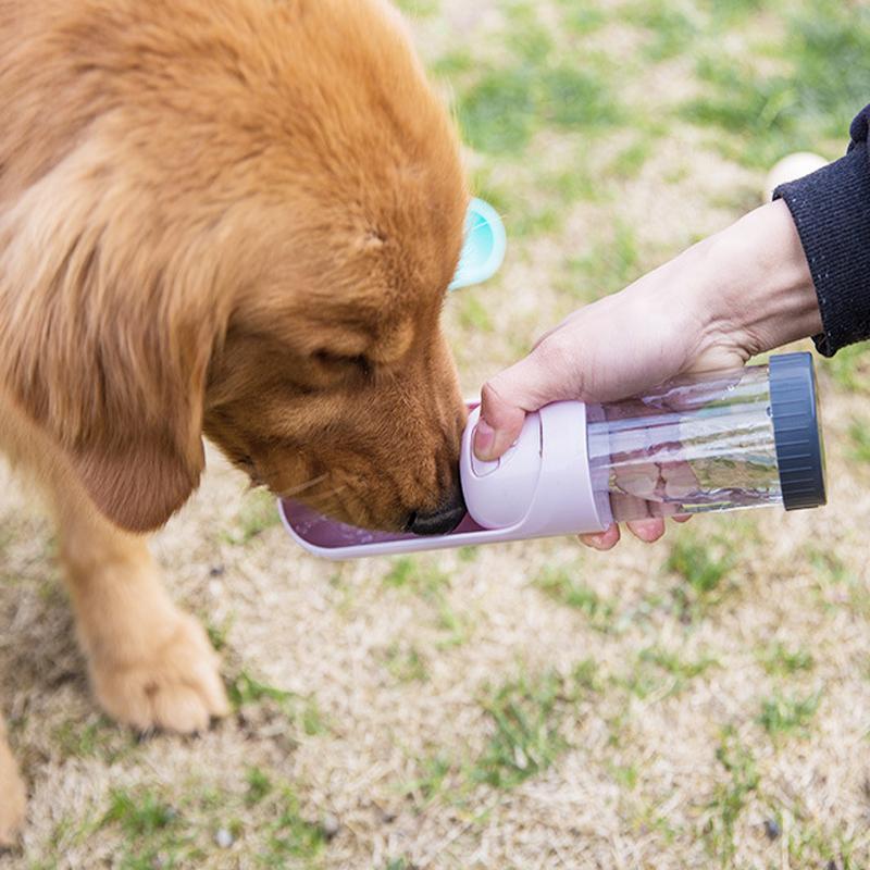 Gourde portable Lighteme 300 ml pour chien (4 couleurs)