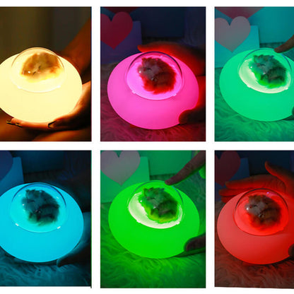 Lighteme Pet Spaceship Silicone Lamp