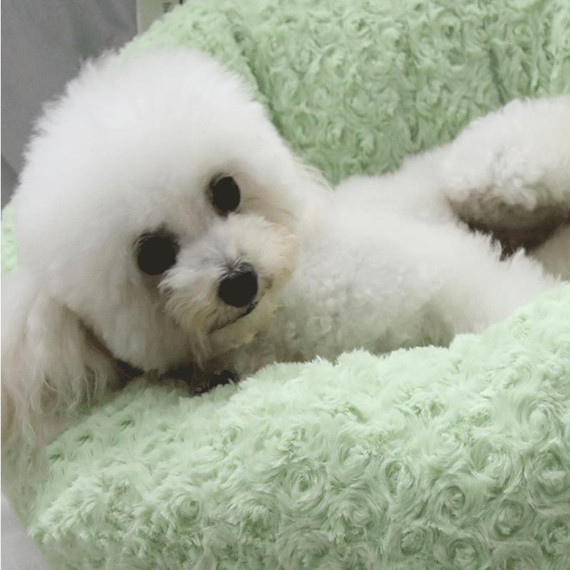 Lighteme Plush Cat Dog Bed Autumn Winter Fluffy Bed (3 colors & 3 sizes)
