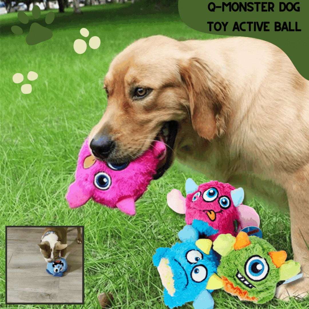 Jouet pour chien Lighteme - Balle active