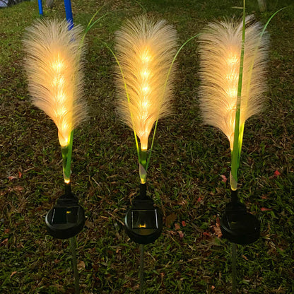 Lampe décorative d'extérieur solaire Lighteme Reed