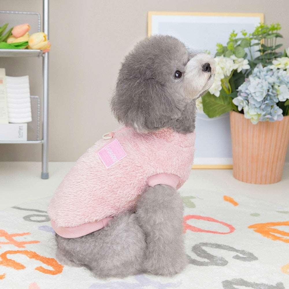 Combinaison élastique Lighteme avec anneau de traction pour chiots et chats