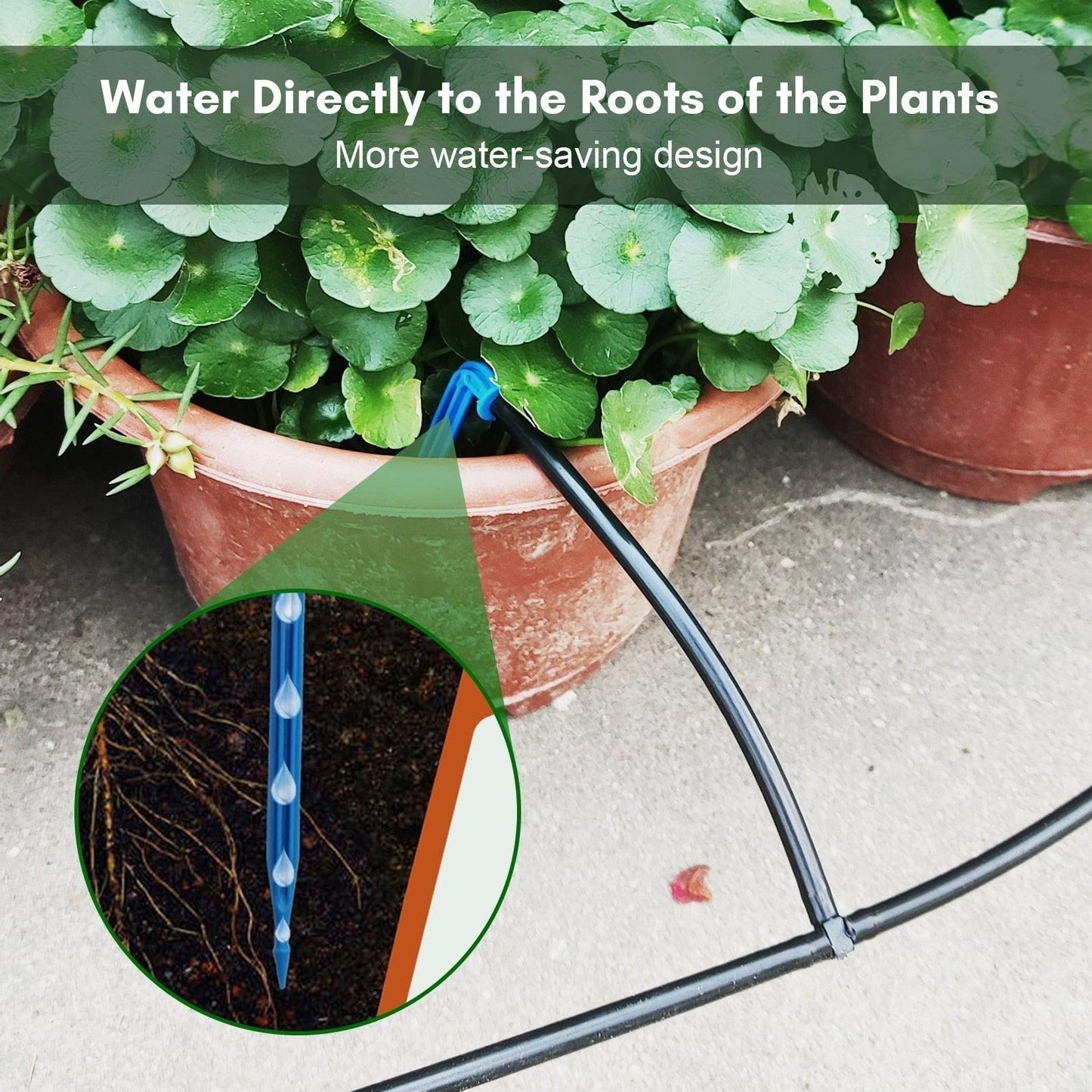Arrosage solaire Lighteme Ne vous souciez plus jamais de vos plantes !