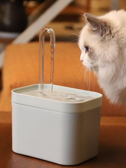 Lighteme Automatischer Trinkbrunnen für Haustiere